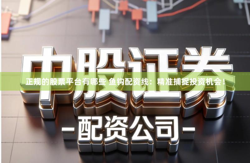 正规的股票平台有哪些 鱼钩配资线:精准捕捉投资机会!