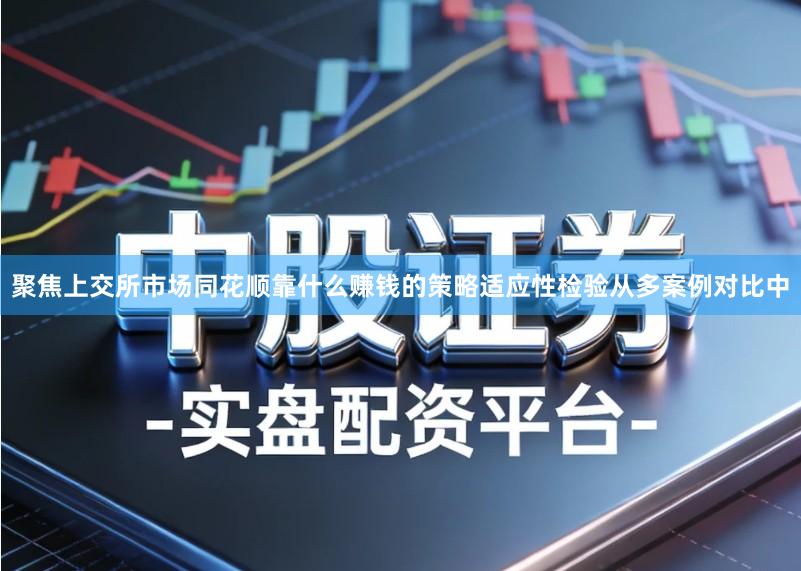 聚焦上交所市场同花顺靠什么赚钱的策略适应性检验从多案例对比中
