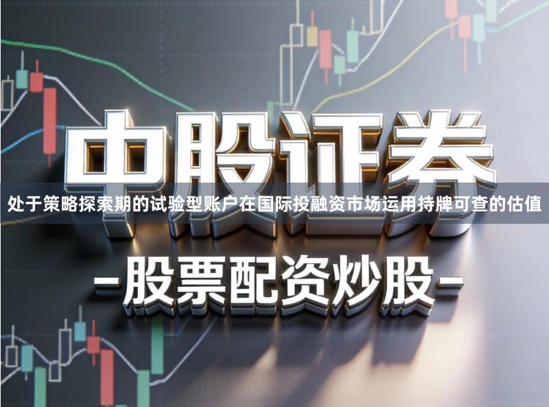 处于策略探索期的试验型账户在国际投融资市场运用持牌可查的估值