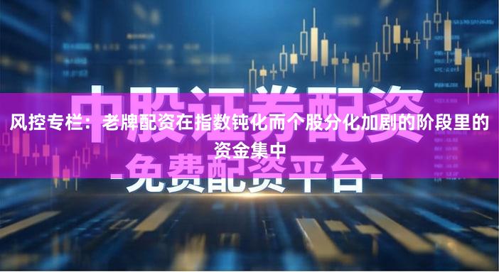 风控专栏：老牌配资在指数钝化而个股分化加剧的阶段里的资金集中